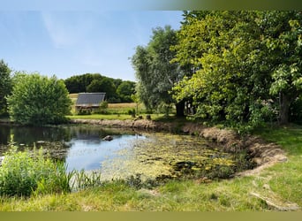 Lebe den Traum am Tor zu Österlen – Reiterhof, Hirschgehege, Fluss.