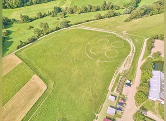 Leben in einer Symbiose mit den Pferden – gepflegte Reitanlage in Geisenheim im beliebten Rheingau!