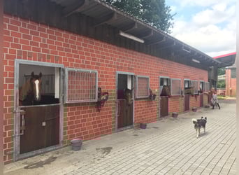 Lukrat Reitanlage, Investoren! Halle 25x60mtr., 2. Anlage Bau.Genehm, neue 177PV-A,  kernsaniert2025