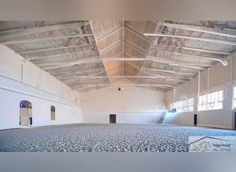 **Luxuriöses Pferdeanwesen in bester Lage** - Schweiz