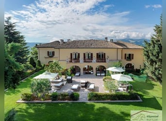 **Luxuriöses Pferdeanwesen in bester Lage** - Schweiz