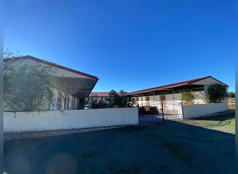 Moderne Reitanlage auf ca. 10 Hektar zwischen Sevilla, Huelva und Atlantikküste