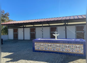 Moderne Reitanlage auf ca. 10 Hektar zwischen Sevilla, Huelva und Atlantikküste