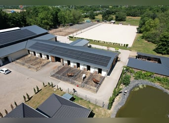 Moderne und rentable Reitanlage im Einzugsgebiet Bonn/Köln mit hochwertigem Wohnhaus