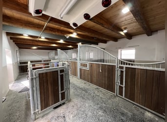 Moderner Vierkanthof mit vielen Möglichkeiten