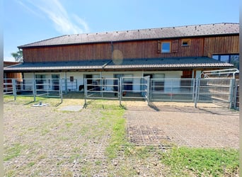 Moderner Vierkanthof mit vielen Möglichkeiten