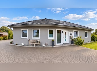 Modernes Reitanwesen auf 3,4 ha – Reithalle, 13 Boxen, Solekammer & 2 Reitplätze