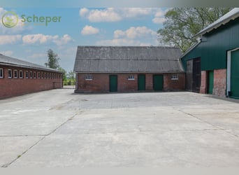 Modernisierter Resthof in Belum-Kehdingbruch mit Grünland und optional 28 ha Ackerland
