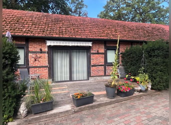Modernisierter Resthof mit Pferdehaltung und Einliegerwohnung
