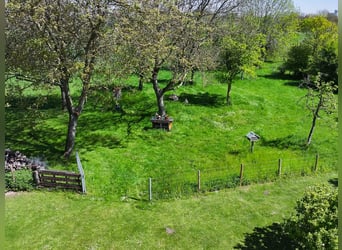 Naturverbunden leben, außergewöhnlich wohnen - exklusives Anwesen für besondere Ansprüche