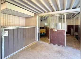 Paradies für Pferdeliebhaber: Reetdachanwesen auf ca. 3,38 ha großen Grundstück mit Nebengebäuden