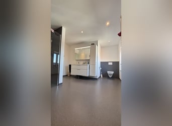 Pferdeanlage mit energetisch renoviertem Haus - Süddänemark nahe Flensburg ,46400qm