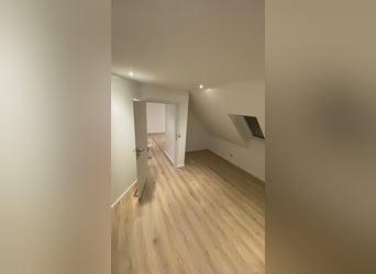 Pferdeanlage mit energetisch renoviertem Haus - Süddänemark nahe Flensburg ,46400qm