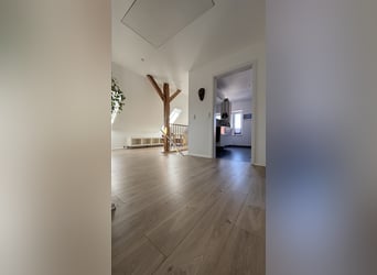 Pferdeanlage mit energetisch renoviertem Haus - Süddänemark nahe Flensburg ,46400qm
