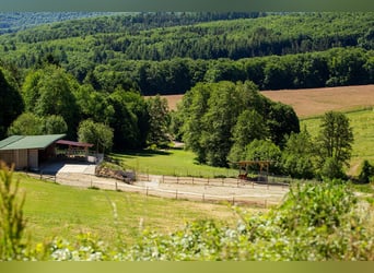 Pferdebetrieb mit ca. 18 ha Eigenland, umfangreicher Reitanlage und mehreren Wohneinheiten