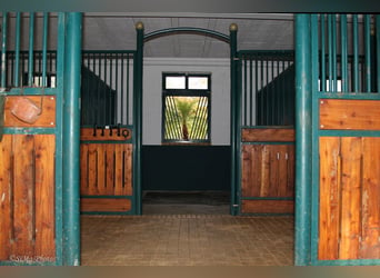 Pferdebetrieb mit ca. 18 ha Eigenland, umfangreicher Reitanlage und mehreren Wohneinheiten