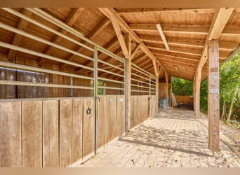 Pferdehof in Niederbayern inklusive Reithalle, schickem Landhaus und beheiztem Pool!