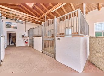 Pferdehof in Niederbayern inklusive Reithalle, schickem Landhaus und beheiztem Pool!