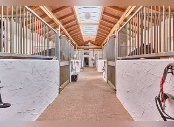Pferdehof in Niederbayern inklusive Reithalle, schickem Landhaus und beheiztem Pool!