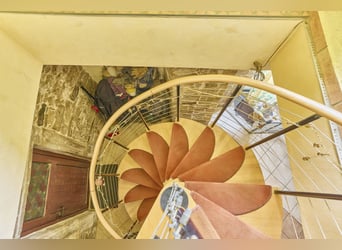 Pferdehof in Rheinland-Pfalz mit 8 Pferdeboxen und kleiner Halle in Niederhambach!