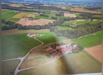 Pferdehof -Landwirtschaft östlich von München