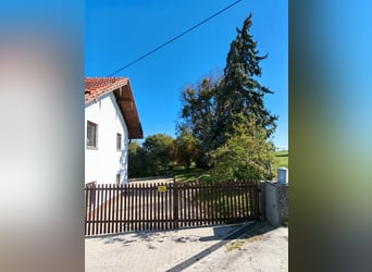 Pferdehof -Landwirtschaft östlich von München
