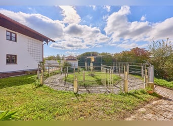 Pferdeimmobilie in Bayern kaufen im Landkreis Deggendorf - Schickes Landhaus mit Außenpool inklusive