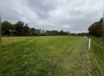 Pferdeliebhaber aufgepasst! Top renovierte Reitanlage in Versmold im Angebot