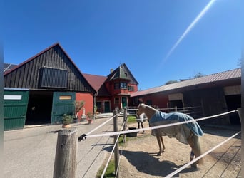 Pferdeparadies - romantischer Reiterhof mit Reithalle, 6 Boxen & Wohnhaus