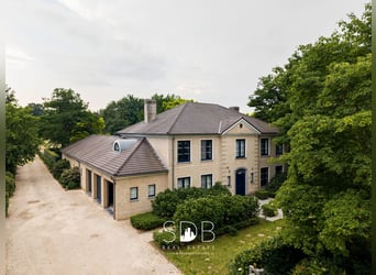 Prachtig landhuis met paardenfaciliteiten op 15.804m² te Haasdonk