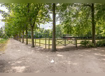 Prachtige landelijke villa met gezinstuin en graslanden op 32.558m² te Lochristi | België