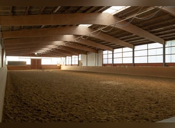 Prämierte und topgepflegte Reitsportanlage mit guter Anbindung in Riede!