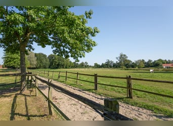 Prämierte und topgepflegte Reitsportanlage mit guter Anbindung in Riede!