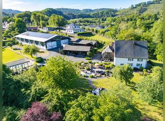 Private Reitanlage mit historischem Wohngebäude in idyllischer Lage