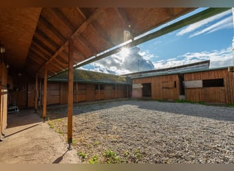 Privates schlüsselfertiges Reitanwesen in der Nähe von Tallinn – 26,5 ha Land, Stall, Pferde und Aus