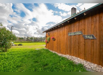 Privates schlüsselfertiges Reitanwesen in der Nähe von Tallinn – 26,5 ha Land, Stall, Pferde und Aus