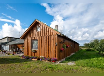 Privates schlüsselfertiges Reitanwesen in der Nähe von Tallinn – 26,5 ha Land, Stall, Pferde und Aus