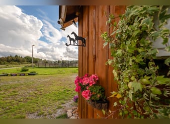Privates schlüsselfertiges Reitanwesen in der Nähe von Tallinn – 26,5 ha Land, Stall, Pferde und Aus