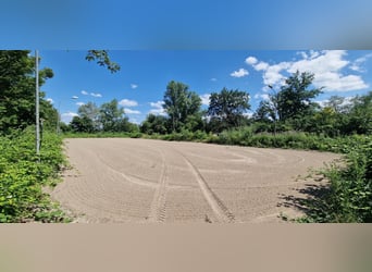 Professionelle Reitanlage für den großen Sport Rhein-Neckar-Metropolregion V1757