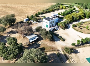Ref2527 Andalusien, Ronda - moderner Reitstall/ Trainingszentrum zu verkaufen!