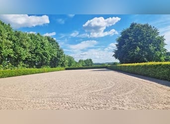 Ref2529 NRW, Nordrhein-Westfalen, Raum 33739 Bielefeld - gepflegte Reitanlage in unverbaubarer Lage