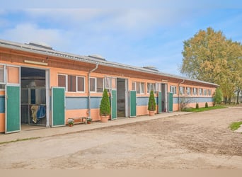 Reitanlage bei Berlin zu verkaufen – Platz für knapp 100 Pferde im Landkreis Havelland