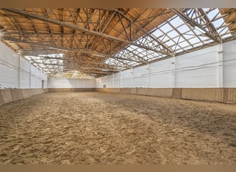 Reitanlage bei Berlin zu verkaufen – Platz für knapp 100 Pferde im Landkreis Havelland Schönwalde-Gl