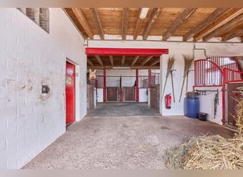 Reitanlage bei Hannover – 29 Pferdeboxen, professionelle Trainingsbedingungen & 4 Wohneinheiten!