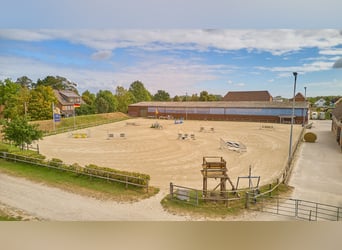 Reitanlage bei Hannover – 29 Pferdeboxen, professionelle Trainingsbedingungen & 4 Wohneinheiten!