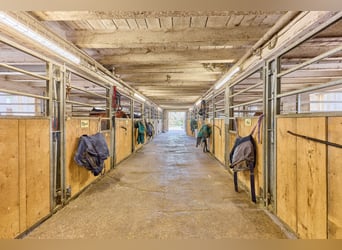 Reitanlage bei Villingen-Schwenningen mit lukrativer PV-Anlage, zwei Reithallen in traumhafter Lage!
