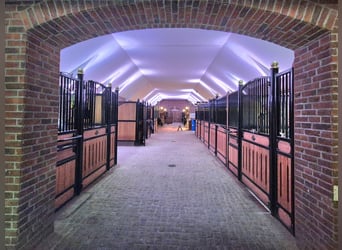 Reitanlage der besonderen Art!