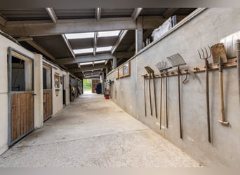 Reitanlage der Extraklasse