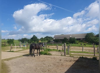 Reitanlage für Sport und Freizeitreiter 