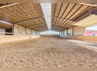 Reitanlage im Pferdepark im Maifeld – in Mitten des Sonderbaugebietes “Wohnen mit Pferden” in Lonnig Reitanlage im Pferdepark im Maifeld – in Mitten des Sonderbaugebietes “Wohnen mit Pferden” in Lonnig